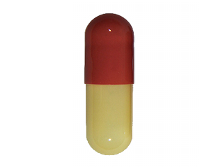 Cenmox (Amoxicillin)